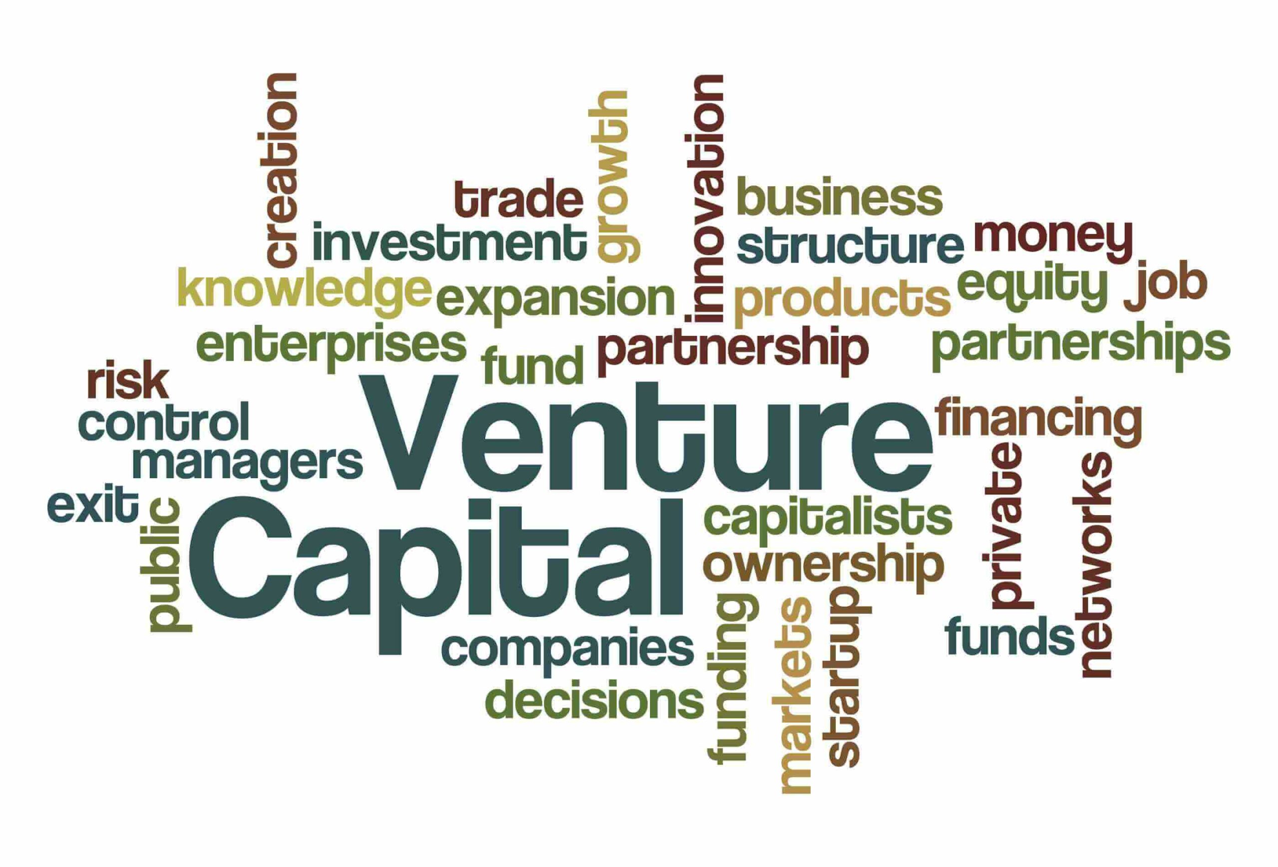 venture capital definition