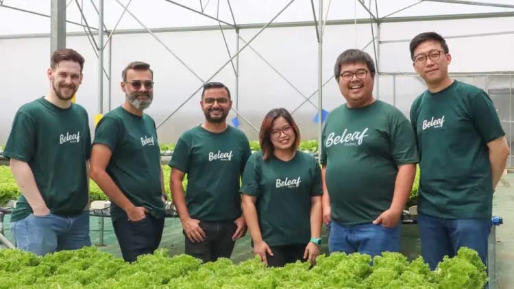 Startup ‘Farming-as-a-Service’ Beleaf Raih Pendanaan Awal Rp 30 Miliar dari Alpha JWC Ventures