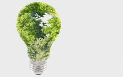 Understanding ESG and Its Importance for Companies