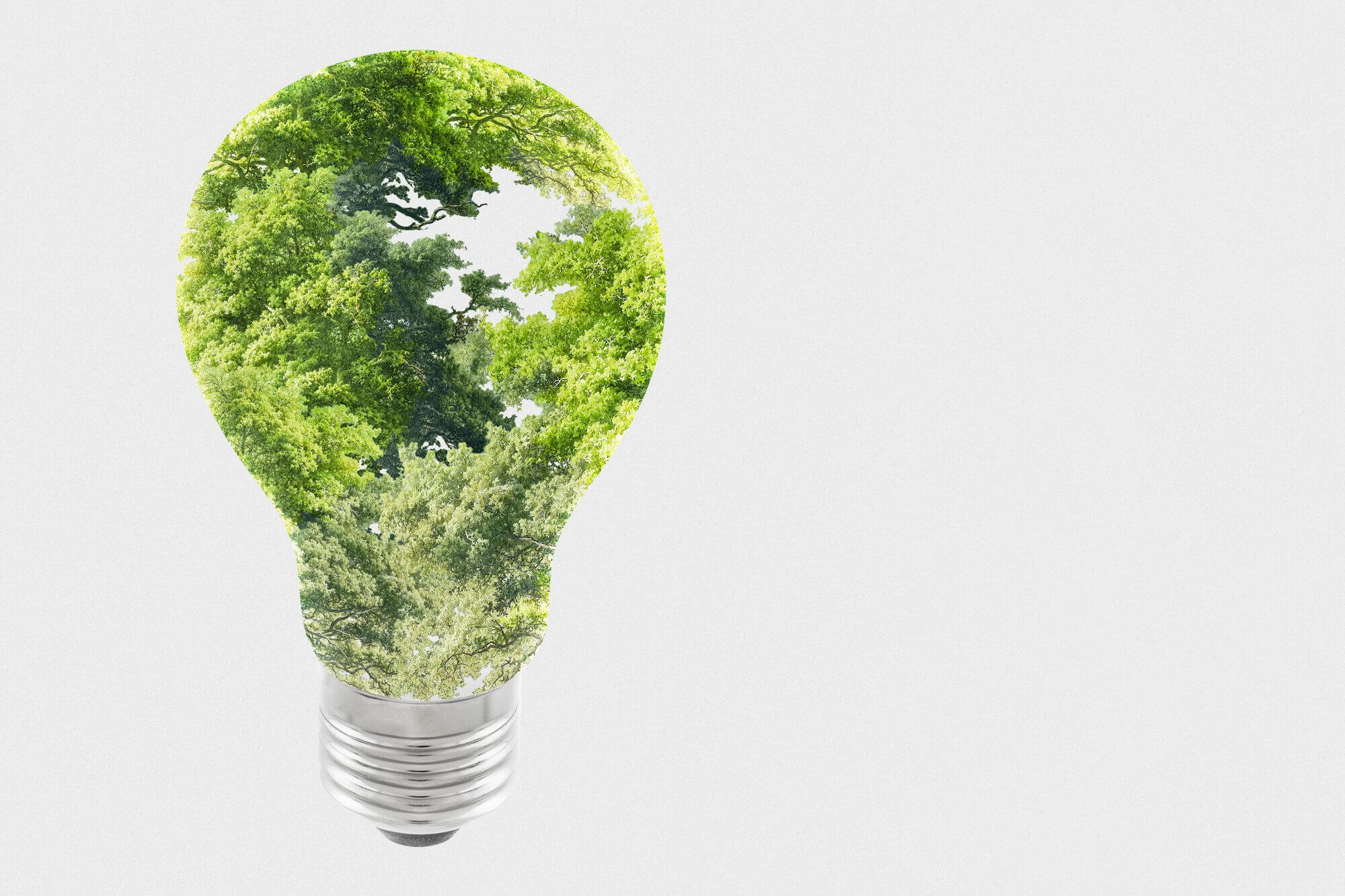 Understanding ESG and Its Importance for Companies